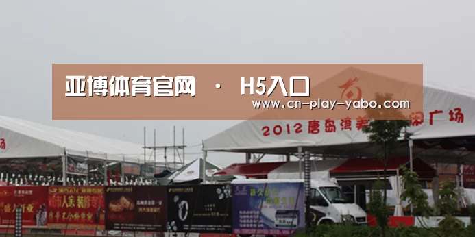 案例标题十(图1)