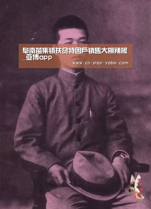 阜南苗集镇扶贫特困户销售大棚辣椒_亚博app(图3) 亚博平台