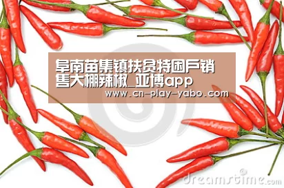 阜南苗集镇扶贫特困户销售大棚辣椒_亚博app(图2) 亚博