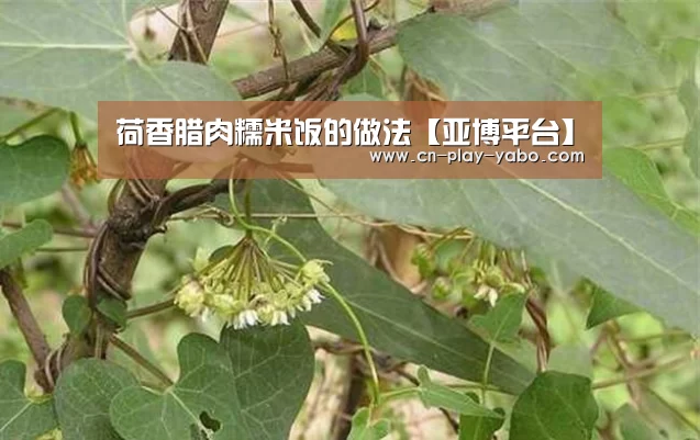 荷香腊肉糯米饭的做法【亚博平台】(图1) 亚博