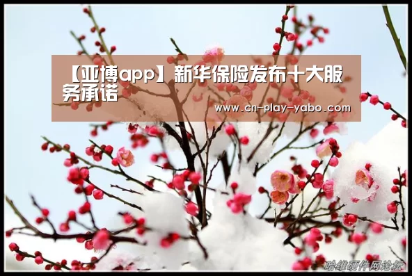 【亚博app】新华保险发布十大服务承诺(图3) 亚博app