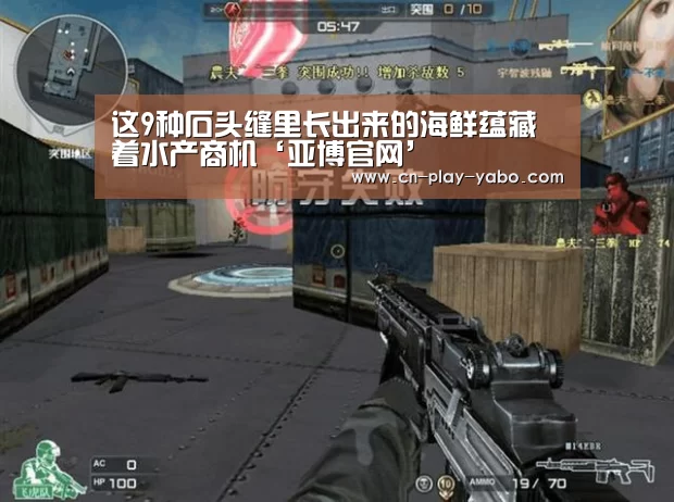 这9种石头缝里长出来的海鲜蕴藏着水产商机‘亚博官网’(图1) 亚博平台