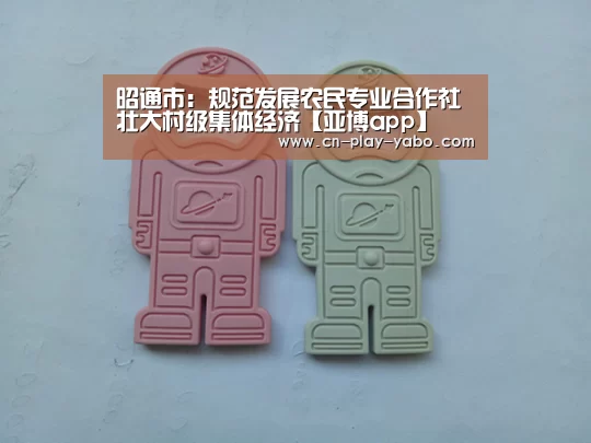 昭通市:规范发展农民专业合作社 壮大村级集体经济【亚博app】(图1) 亚博平台