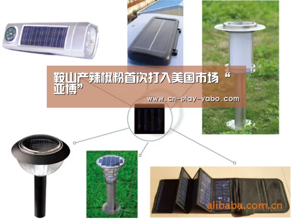 鞍山产辣椒粉首次打入美国市场“亚博”(图3) 亚博app