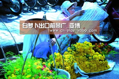 白萝卜出口前景广_亚博(图2) 亚博平台