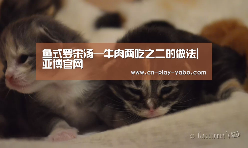 鱼式罗宋汤—牛肉两吃之二的做法|亚博官网(图2) 亚博app